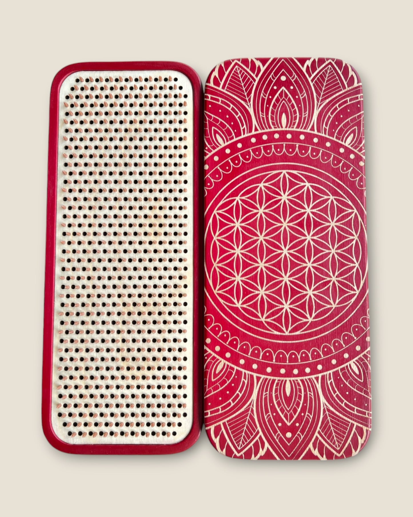 „Floarea vieții” Dinamic