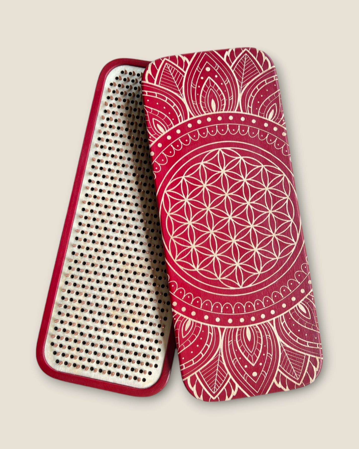 „Floarea vieții” Dinamic